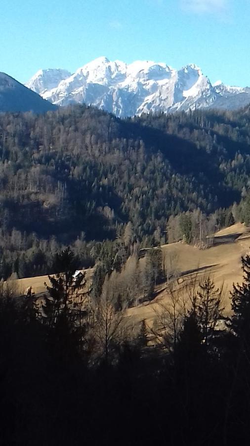 Apartamento Apartma Podlogar Golica Triglav Jesenice Exterior foto