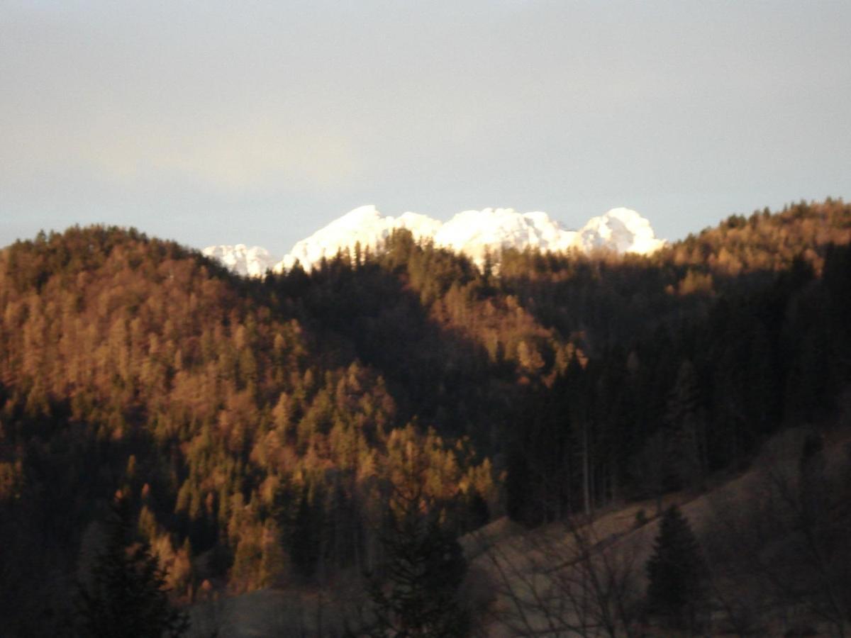 Apartamento Apartma Podlogar Golica Triglav Jesenice Exterior foto